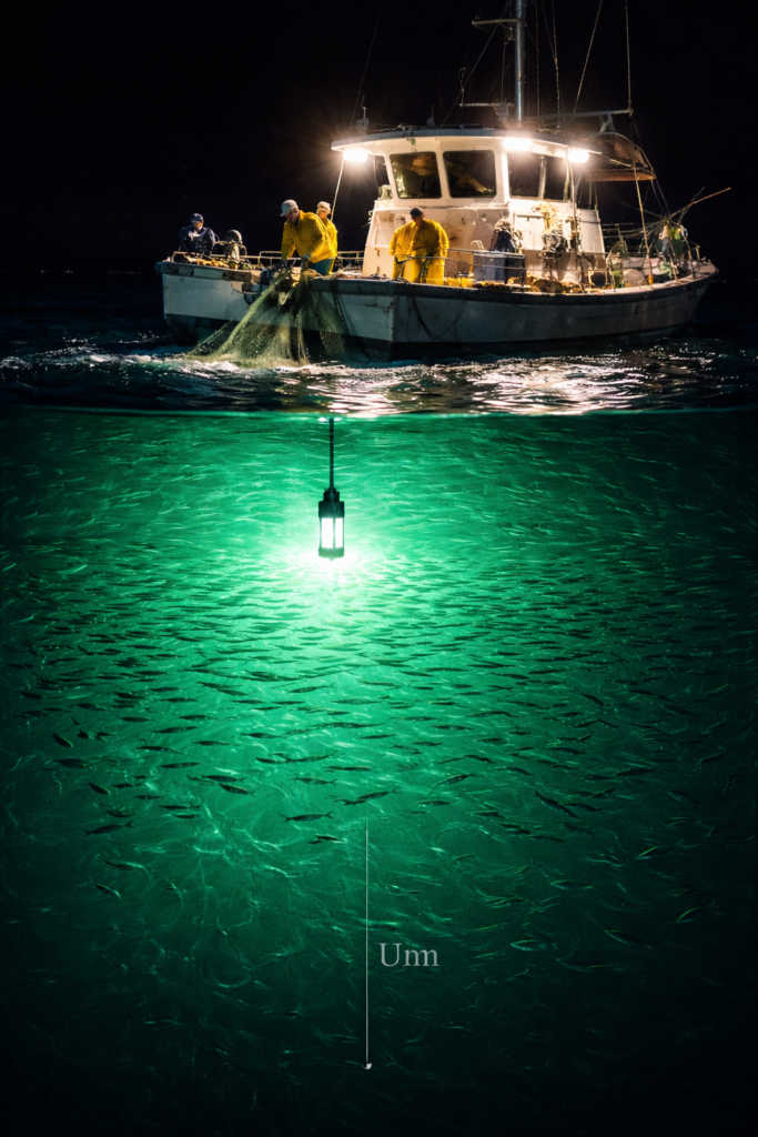 500W led fishing light for seawater and fresh water